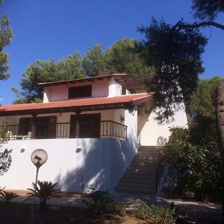 Seaside Villa In Alikes, Chalkida Dhrosiá Eksteriør billede