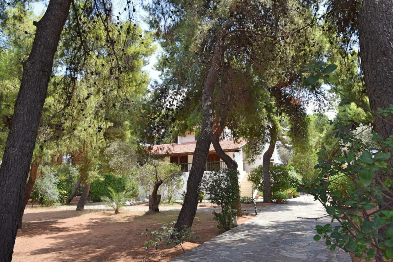 Seaside Villa In Alikes, Chalkida Dhrosiá Eksteriør billede
