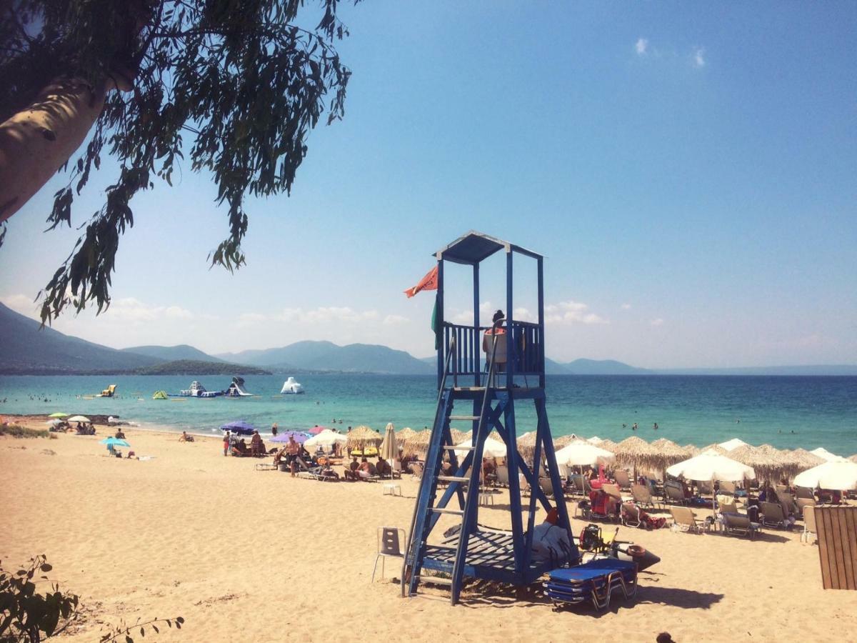 Seaside Villa In Alikes, Chalkida Dhrosiá Eksteriør billede