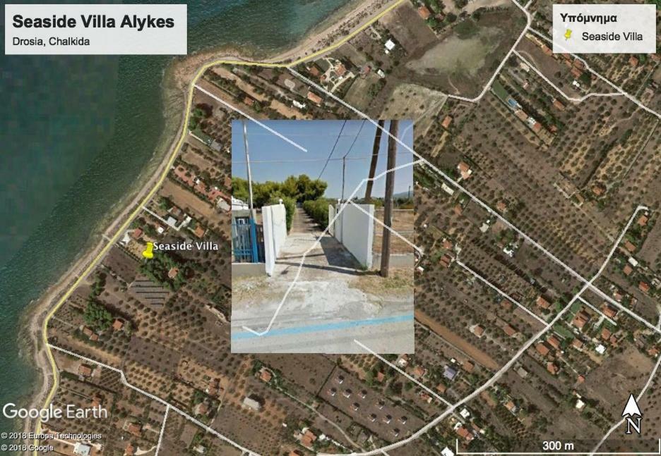 Seaside Villa In Alikes, Chalkida Dhrosiá Eksteriør billede